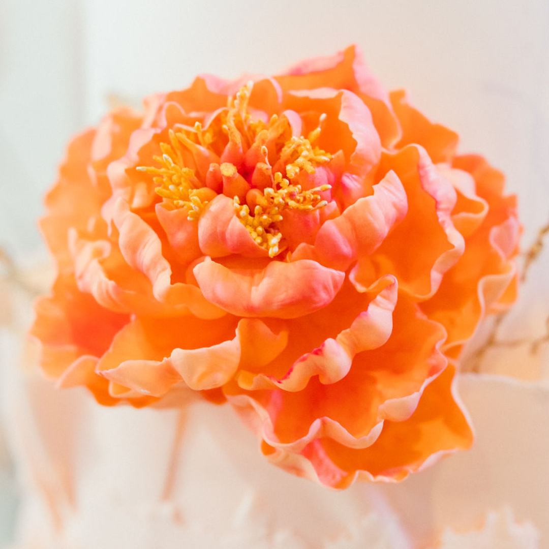 Details WEB JAN 25 Post